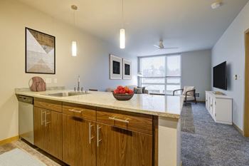 Stylish granite countertops
